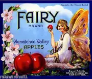 Cashmere Washington Fairy Apple Fruit Crate Box Label Art Print