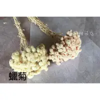 在飛比找蝦皮購物優惠-花花柑仔店『不凋蠟菊』蠟 乾燥花 不凋花 永生花材