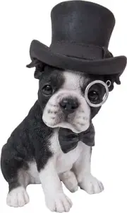 . Boston Terrier with Top Hat - Spectacle and Bow Tie, Black and White