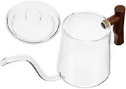 Long Spout Drip Coffee Pot Glass Kettle Home Brewing Teapot 480ml Capacity Modern Design