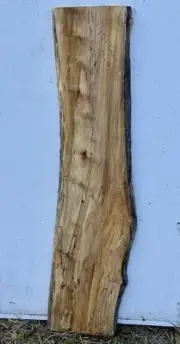 B4 Spaltted Black Line Maple Live Edge Slab 8%mc 45x12x1 Crafting Woodworkin