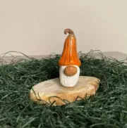 Adopt a Pumpkin Gnome - Handmade/painted The gnome protects a pumpkin patch