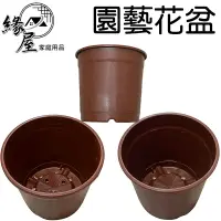 在飛比找樂天市場購物網優惠-園藝花盆5吋/6吋【緣屋百貨】天天出貨 花盆 園藝 陽台 植