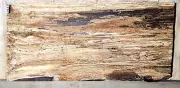 Spalted Maple Figured Wood 0661 Luthier 5A Black line Guitar Billet 24x12x2.25