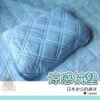 在飛比找蝦皮購物優惠-【現貨】日本直送 涼感枕墊 枕頭保潔墊 枕套 吸汗 透氣 降