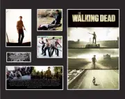 NEW!!! THE WALKING DEAD MOVIE MEMORABILIA FRAMED LIMITED EDITION 499
