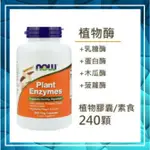 ✈️◆240顆 NOW 植物酶🌿 植物酵素  PLANT ENZYMES 腹脹 消化不良 乳糖酶 木瓜 鳳梨酵素 純素