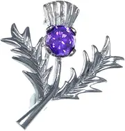 [Scottish Jewellery Shop] Sterling Silver Amethyst Thistle Brooch