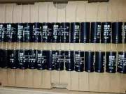 100pcs NOS SIEMENS S+M 100uF 160V B43590-S1107-T HI END AX CAPS FOR AUDIO!