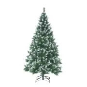 Frosted Allison Spruce 150cm ( 5’) High 344 Tips Christmas Tree