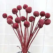 [QULIT] Handmade Decorative Accessories Dried Flower Palm Fan Leaf Plants Sunflower Leaves Home Decor Window Wedding Arch Decor Flower Arrangement Hanging Flower Wall Folding Fan (Color : 40cm 10 pcs 06)