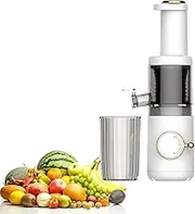 LUOFEISHUN Compact Cold Press Juicer Machines, 625ml Slow Masticating Juicer, Up to 98% Juice, Juice Extractor for High Nutrient Fruits Vegetables, Removable and Washable Design, Reverse Function