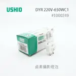 日本 USHIO  DYR 220V 650W C1 GY9.5 鹵素燈泡