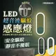 LED超音波驅蚊感應燈