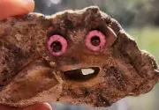 Happy Little Rock holey rock hag stone Natural Hole Fairy Stone