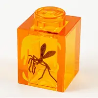 在飛比找蝦皮購物優惠-AndyPB 樂高LEGO 透明橘色 琥珀/蚊子/侏儸紀世界