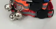 2 Breakaway Cat Kitten Collar with Bell Quick Release Safe Buckle Reflective