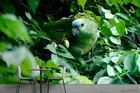 3D Tree Bird Wallpaper Wall Mural Removable Self-adhesive 217