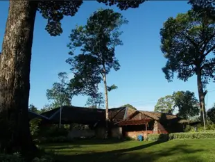 波尼噢泊波斯民宿Borneo Proboscis River Lodge