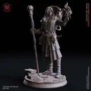 Talandir, The Elf Wizard - Echoes of Corruption - Flesh of Gods - Wargaming D&D