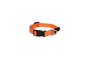 Rogz Orange Medium 16mm Wide x 26cm to 40cm Classic Utility Collar for Dogs & Puppies