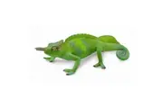 CollectA - Cameroon Sailfin Chameleon Animal Figurine