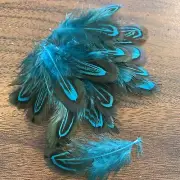 20pcs Natural Almond Aqua Blue Pheasant Feathers DIY Craft Millinery Jewellery