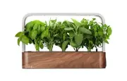EDN SmallGarden with Basil SeedPods, Indoor Grow Smart Garden Starter Kit for...