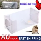 Humane Mouse Traps no Kill Live Mouse Trap Catch and Release Indoor/Outdoor