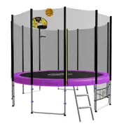 Blizzard 16ft Trampoline with Basketball Purple