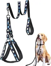 Dog Harness and Leash,Puppy Running Belt Reflective - Adjustable Comfortable Non-Slip Harness Leash for Outdoor Walking Medium Dogs Large Breed Pet Safety