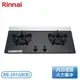 ［Rinnai 林內］檯面式內焰玻璃雙口爐 RB-201GN(B)