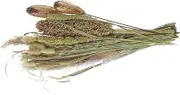 HOMOCONO Dried Pampas Bouquet Decor Faux Grass Arrangement for Home Table Styling Rustic Vase Decor Low Maintenance Natural Dried Flowers for DIY for Living Room and Events