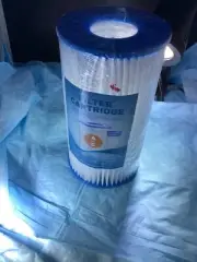 Intex POOL FILTER Cartridge Type A or C Easy Set Swimming Krystal Clear 29000E