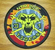 Belgian NATO Tiger Meet NTM 2016 31 Squadron Tigers Patch