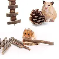 在飛比找蝦皮購物優惠-pet hamster Natural Wood Chew 