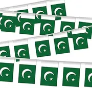 32FT Small Pakistan Pennant Flag Bunting,30 PCS Mini String Banner Strip Pakistani people National Decor Rectangle for Holiday Restaurant Home Party School