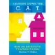 Chasing Down the C. A. T.: Creating Culture and Tone in Classrooms to Support Behavior and Improve Student Achievement How Effec