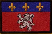 LYON FRANCE Flag Patch With Hook & Loop Fastener Emblem Black Border #3