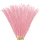 20-Pack Faux Pampas Grass 21.7 Inch for Home Decor/Wedding [Dark Pink]