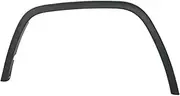 Car Front Fender Flare Wheel Arch Molding Eyebrow Compatible with 2011-2016 Jeep Grand Cherokee 1MP38RXFAE/CH1291106 1MP39RXFAE/CH1290106(Front Left)