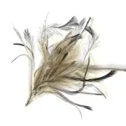 Emu Feather Pincher Large Deluxe - Natural