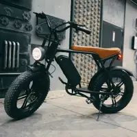 在飛比找蝦皮購物優惠-歐盟美國倉庫 1000w 復古泥土胖胎電動自行車 OUXI 