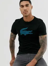 在飛比找Yahoo!奇摩拍賣優惠-Lacoste Sport鱷魚 印花大LOGO 短袖 T恤 