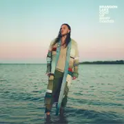 ESSENTIAL Brandon Lake - Coat Of Many Colors [COMPACT DISCS] USA import
