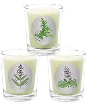 Qualitas Candles 3pc Candle Set - Rosemary, Sage, & Clary Sage