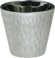 J-Kitchens Glass Locking Cup, Light Changing Silver, 10.1 fl oz (300 ml), Dishwasher Safe, Microwave Safe, Made in Japan