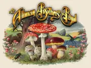Allman Brothers Band Iron On Transfer For T-Shirt & Other Light Color Fabrics #4