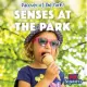Senses at the Park