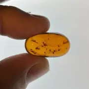 A101 BU1107 Fungus gnat swarm w/wasps in Burmese Amber 99 million